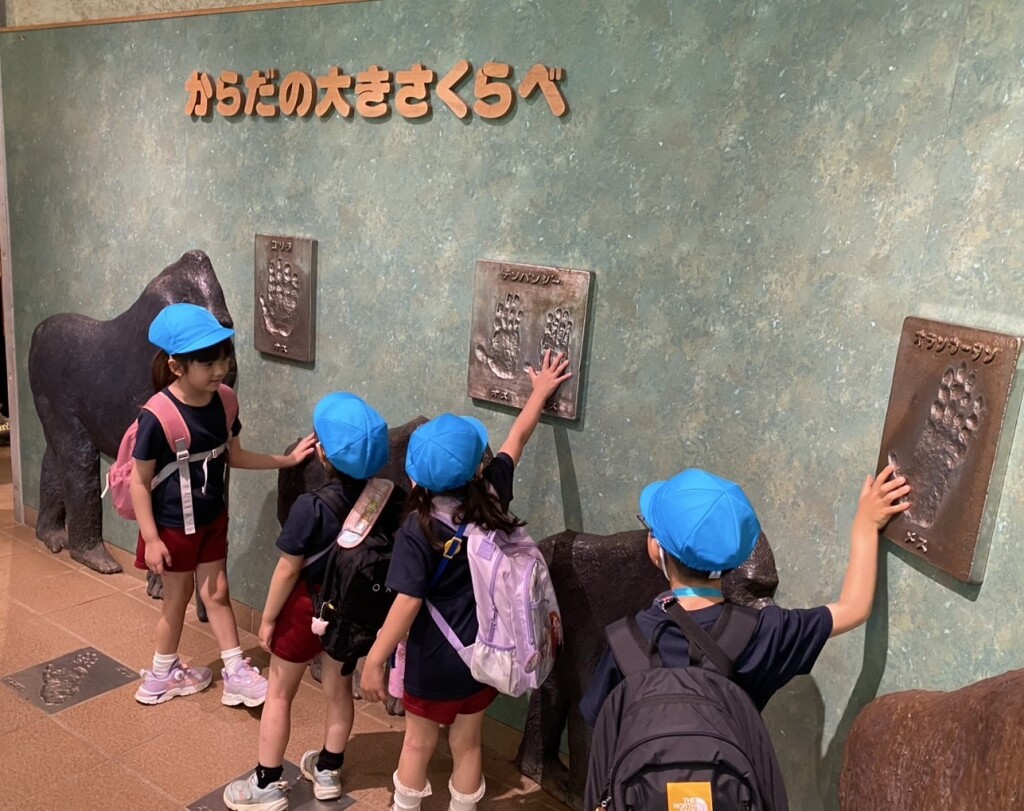 S__93274204_0