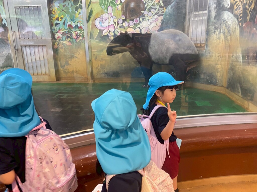 1 (2)