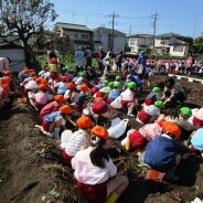 平成30年度　おいもほり