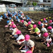 2019年度　おいもほり