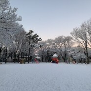 園庭の冬景色