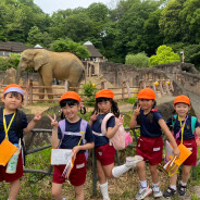 年長遠足(多摩動物公園)