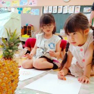 パイナップルの観察画(年長)