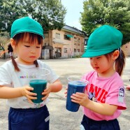 色水遊び(年少)