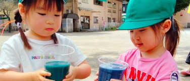 色水遊び(年少)